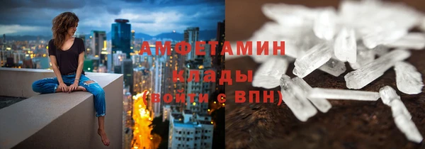 шишки Верхний Тагил