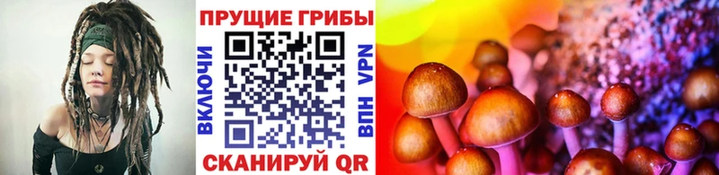 Псилоцибиновые грибы MAGIC MUSHROOMS  Бокситогорск 