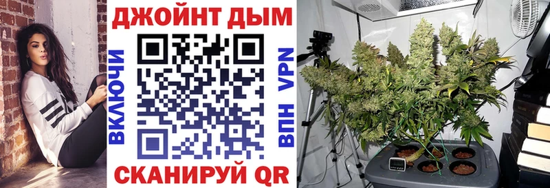 Бошки марихуана Bruce Banner  Бокситогорск 